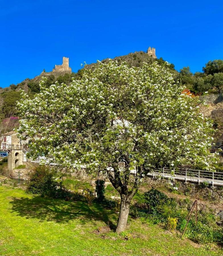 Château Cabaret: Luxury Cathar Retreat with Panoramic Terrace Lastours Exterior photo